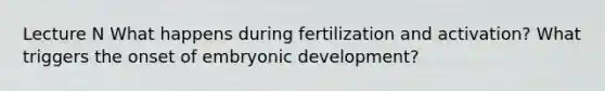 Lecture N What happens during fertilization and activation? What triggers the onset of embryonic development?