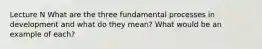 Lecture N What are the three fundamental processes in development and what do they mean? What would be an example of each?