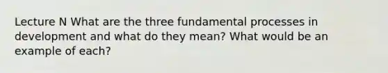 Lecture N What are the three fundamental processes in development and what do they mean? What would be an example of each?