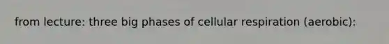 from lecture: three big phases of cellular respiration (aerobic):