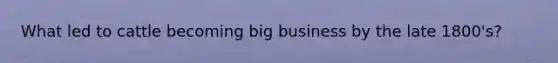 What led to cattle becoming big business by the late 1800's?