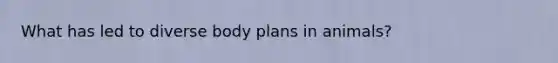 What has led to diverse body plans in animals?