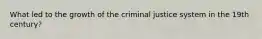 What led to the growth of the criminal justice system in the 19th century?