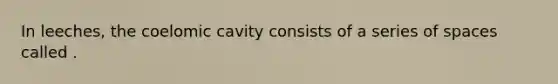 In leeches, the coelomic cavity consists of a series of spaces called .