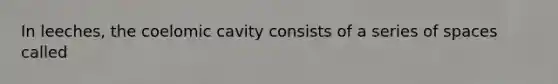 In leeches, the coelomic cavity consists of a series of spaces called