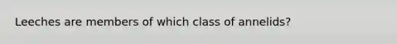 Leeches are members of which class of annelids?