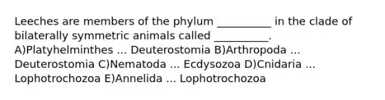 Leeches are members of the phylum __________ in the clade of bilaterally symmetric animals called __________. A)Platyhelminthes ... Deuterostomia B)Arthropoda ... Deuterostomia C)Nematoda ... Ecdysozoa D)Cnidaria ... Lophotrochozoa E)Annelida ... Lophotrochozoa