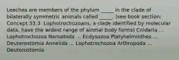 Leeches are members of the phylum _____ in the clade of bilaterally symmetric animals called _____. (see book section: Concept 33.3: Lophotrochozoans, a clade identified by molecular data, have the widest range of ainmal body forms) Cnidaria ... Lophotrochozoa Nematoda ... Ecdysozoa Platyhelminthes ... Deuterostomia Annelida ... Lophotrochozoa Arthropoda ... Deuterostomia