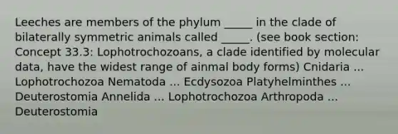 Leeches are members of the phylum _____ in the clade of bilaterally symmetric animals called _____. (see book section: Concept 33.3: Lophotrochozoans, a clade identified by molecular data, have the widest range of ainmal body forms) Cnidaria ... Lophotrochozoa Nematoda ... Ecdysozoa Platyhelminthes ... Deuterostomia Annelida ... Lophotrochozoa Arthropoda ... Deuterostomia