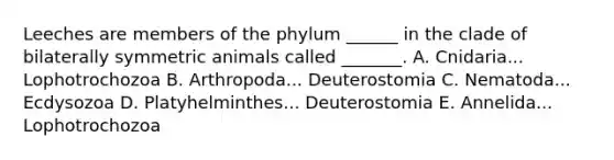 Leeches are members of the phylum ______ in the clade of bilaterally symmetric animals called _______. A. Cnidaria... Lophotrochozoa B. Arthropoda... Deuterostomia C. Nematoda... Ecdysozoa D. Platyhelminthes... Deuterostomia E. Annelida... Lophotrochozoa