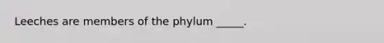 Leeches are members of the phylum _____.