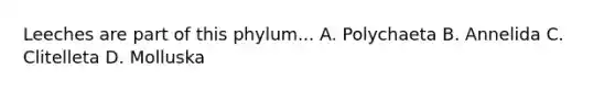 Leeches are part of this phylum... A. Polychaeta B. Annelida C. Clitelleta D. Molluska