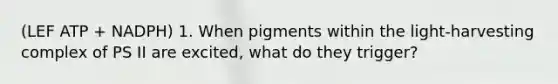 (LEF ATP + NADPH) 1. When pigments within the light-harvesting complex of PS II are excited, what do they trigger?