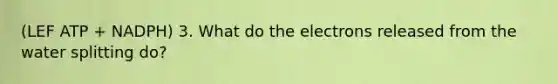 (LEF ATP + NADPH) 3. What do the electrons released from the water splitting do?