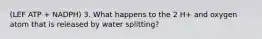 (LEF ATP + NADPH) 3. What happens to the 2 H+ and oxygen atom that is released by water splitting?