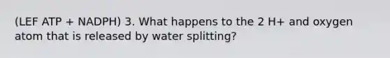 (LEF ATP + NADPH) 3. What happens to the 2 H+ and oxygen atom that is released by water splitting?