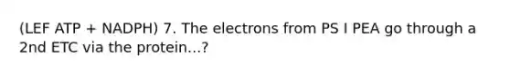 (LEF ATP + NADPH) 7. The electrons from PS I PEA go through a 2nd ETC via the protein...?