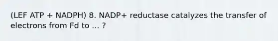 (LEF ATP + NADPH) 8. NADP+ reductase catalyzes the transfer of electrons from Fd to ... ?