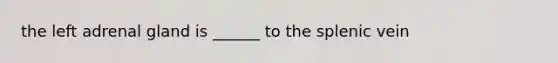 the left adrenal gland is ______ to the splenic vein