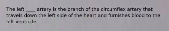 The left ____ artery is the branch of the circumflex artery that travels down the left side of <a href='https://www.questionai.com/knowledge/kya8ocqc6o-the-heart' class='anchor-knowledge'>the heart</a> and furnishes blood to the left ventricle.