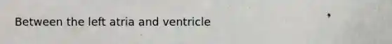 Between the left atria and ventricle