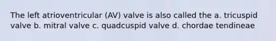 The left atrioventricular (AV) valve is also called the a. tricuspid valve b. mitral valve c. quadcuspid valve d. chordae tendineae