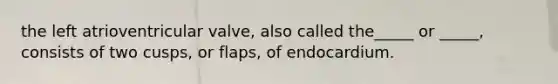 the left atrioventricular valve, also called the_____ or _____, consists of two cusps, or flaps, of endocardium.