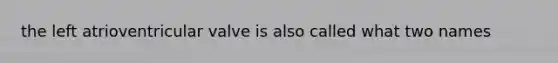 the left atrioventricular valve is also called what two names