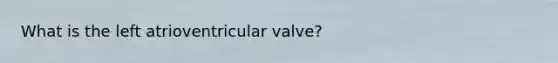 What is the left atrioventricular valve?