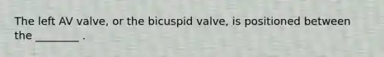 The left AV valve, or the bicuspid valve, is positioned between the ________ .