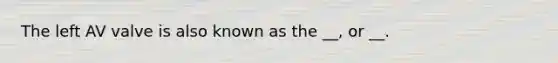 The left AV valve is also known as the __, or __.