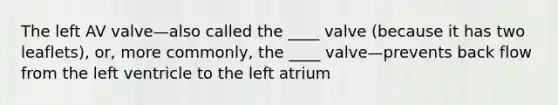 The left AV valve—also called the ____ valve (because it has two leaflets), or, more commonly, the ____ valve—prevents back flow from the left ventricle to the left atrium