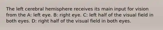 The left cerebral hemisphere receives its main input for vision from the A: left eye. B: right eye. C: left half of the visual field in both eyes. D: right half of the visual field in both eyes.