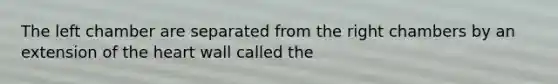 The left chamber are separated from the right chambers by an extension of the heart wall called the