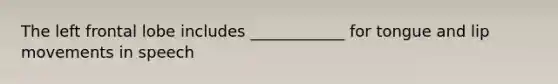 The left frontal lobe includes ____________ for tongue and lip movements in speech