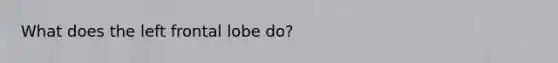 What does the left frontal lobe do?