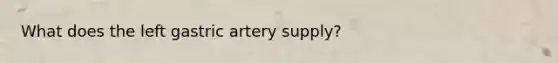 What does the left gastric artery supply?