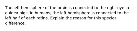 The left hemisphere of <a href='https://www.questionai.com/knowledge/kLMtJeqKp6-the-brain' class='anchor-knowledge'>the brain</a> is connected to the right eye in guinea pigs. In humans, the left hemisphere is connected to the left half of each retina. Explain the reason for this species difference.