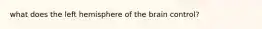what does the left hemisphere of the brain control?
