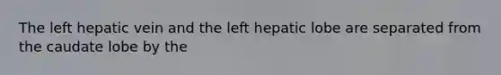 The left hepatic vein and the left hepatic lobe are separated from the caudate lobe by the