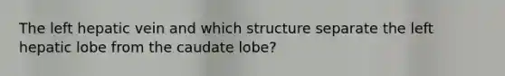 The left hepatic vein and which structure separate the left hepatic lobe from the caudate lobe?