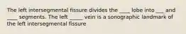 The left intersegmental fissure divides the ____ lobe into ___ and ____ segments. The left _____ vein is a sonographic landmark of the left intersegmental fissure