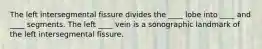 The left intersegmental fissure divides the ____ lobe into ____ and ____ segments. The left ____ vein is a sonographic landmark of the left intersegmental fissure.