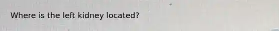 Where is the left kidney located?