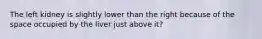 The left kidney is slightly lower than the right because of the space occupied by the liver just above it?