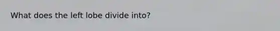 What does the left lobe divide into?