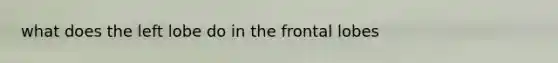 what does the left lobe do in the frontal lobes