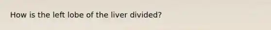 How is the left lobe of the liver divided?