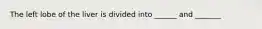 The left lobe of the liver is divided into ______ and _______