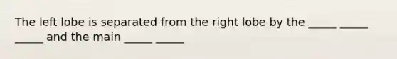 The left lobe is separated from the right lobe by the _____ _____ _____ and the main _____ _____